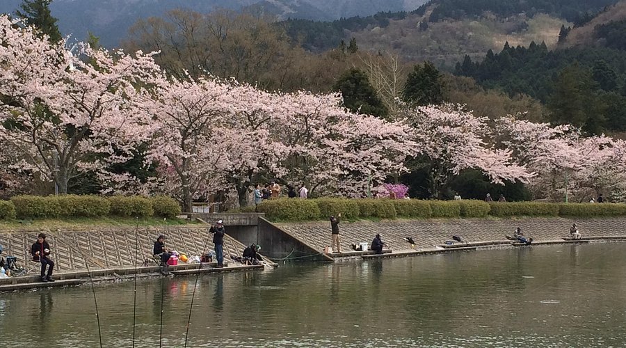 🎣 히가시야마 호수 낚시터(히가시야마코 피싱구 에리아) 이미지 1